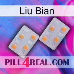 Liu Bian 25